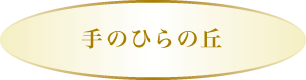 手のひらの丘 手のひらの丘
