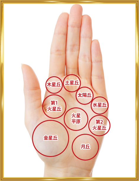 手のひらの丘 手のひらの丘